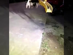 Fabrica personalizada nueva mini excavadora hidráulica de agarre cubo para la venta